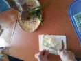 /album/atelier-cuisine-du-15-mars-2013/a20130406-150144-jpg/